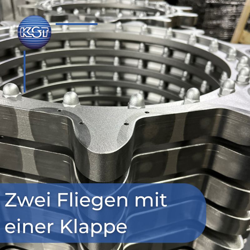 Zwei Fliegen mir einer Klappe